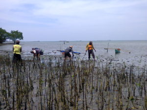 Your mangrove foundation arrives